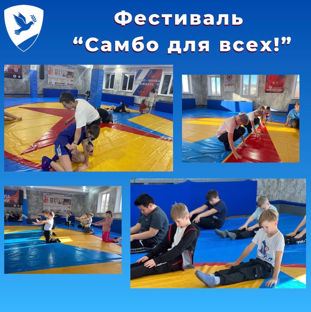 Всероссийский фестиваль «Самбо для всех».