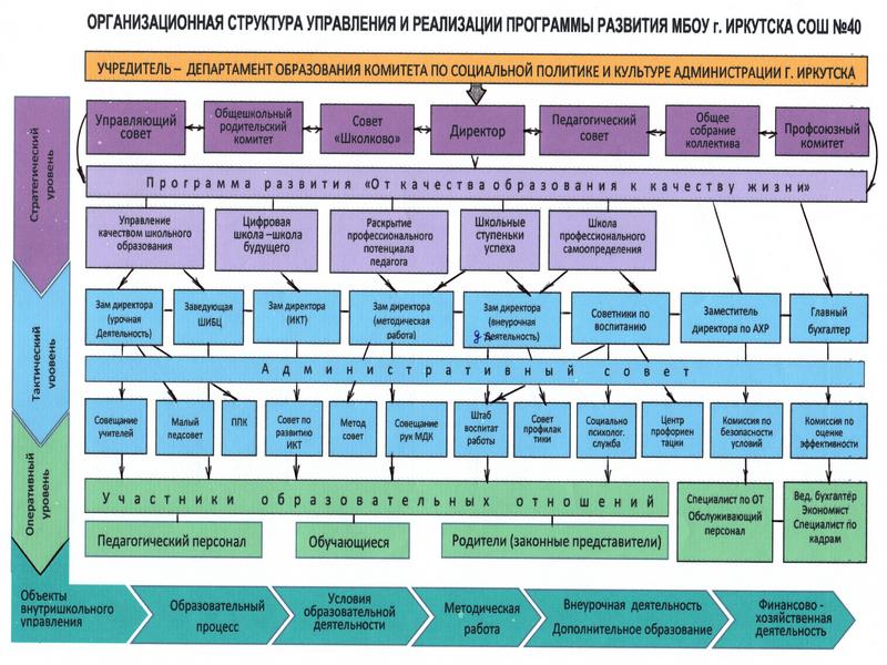 Организационная структура управления программой развития.