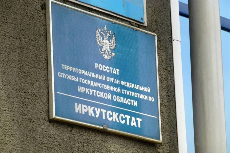 Иркутскстат изучает положение многодетхны семей.