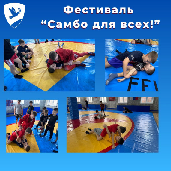 Фестиваль "Самбо для всех!".